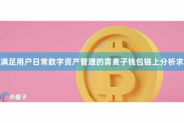 满足用户日常数字资产管理的需麦子钱包链上分析求