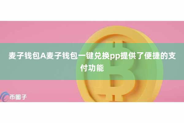 麦子钱包A麦子钱包一键兑换pp提供了便捷的支付功能