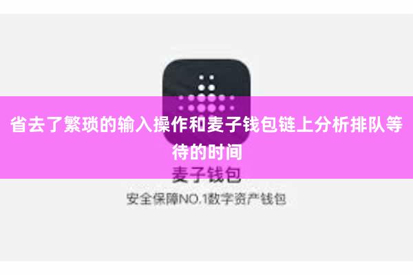 省去了繁琐的输入操作和麦子钱包链上分析排队等待的时间