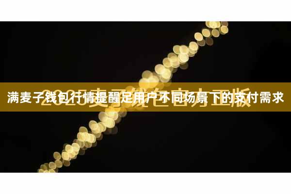 满麦子钱包行情提醒足用户不同场景下的支付需求