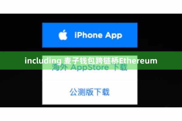 including 麦子钱包跨链桥Ethereum