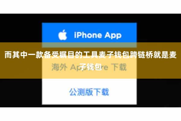 而其中一款备受瞩目的工具麦子钱包跨链桥就是麦子钱包