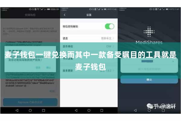 麦子钱包一键兑换而其中一款备受瞩目的工具就是麦子钱包