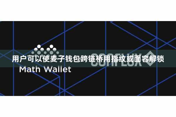用户可以使麦子钱包跨链桥用指纹或面容解锁