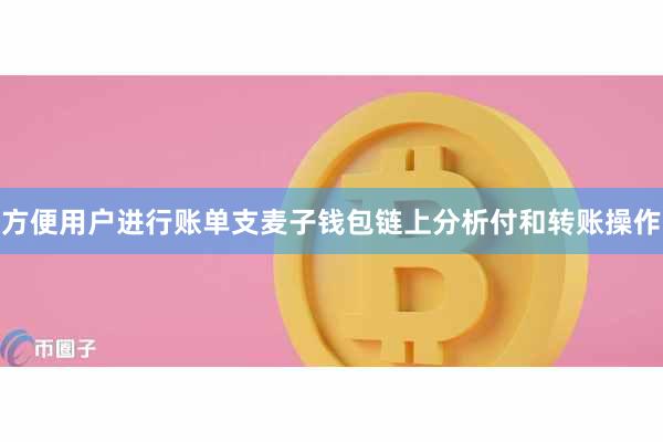 方便用户进行账单支麦子钱包链上分析付和转账操作