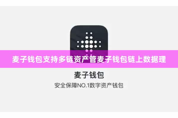 麦子钱包支持多链资产管麦子钱包链上数据理