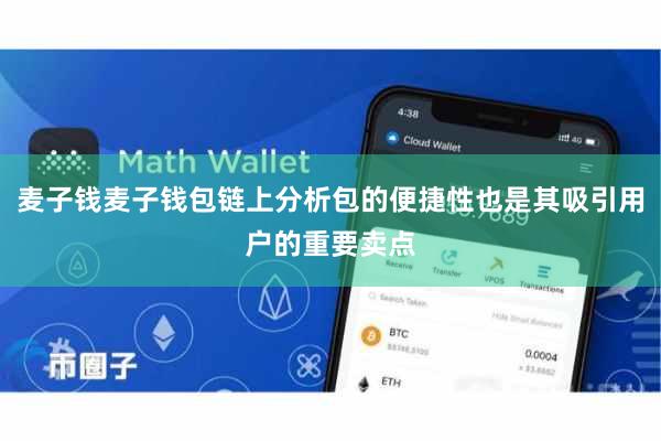 麦子钱麦子钱包链上分析包的便捷性也是其吸引用户的重要卖点