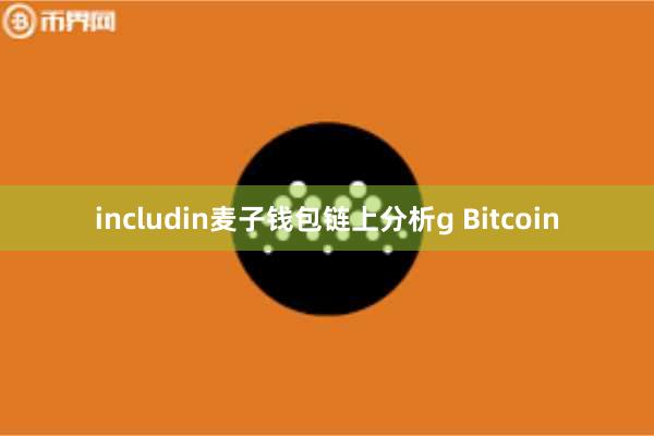 includin麦子钱包链上分析g Bitcoin