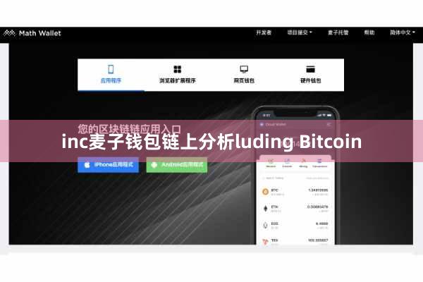 inc麦子钱包链上分析luding Bitcoin