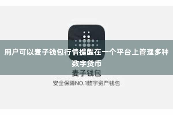 用户可以麦子钱包行情提醒在一个平台上管理多种数字货币