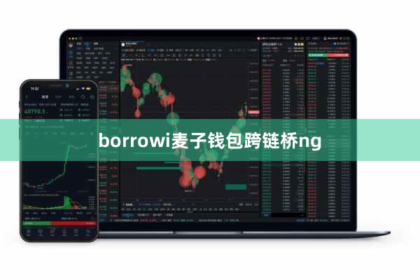 borrowi麦子钱包跨链桥ng