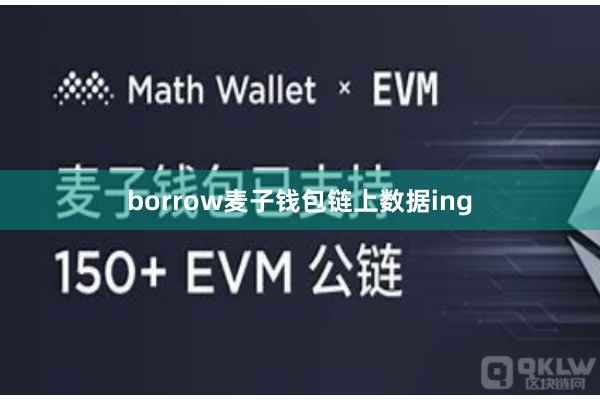 borrow麦子钱包链上数据ing