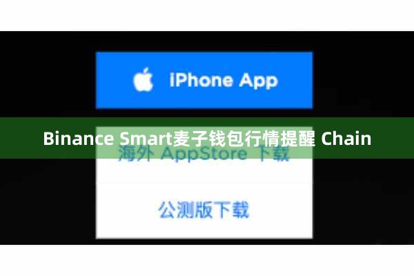 Binance Smart麦子钱包行情提醒 Chain