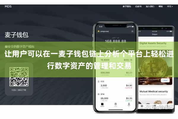 让用户可以在一麦子钱包链上分析个平台上轻松进行数字资产的管理和交易