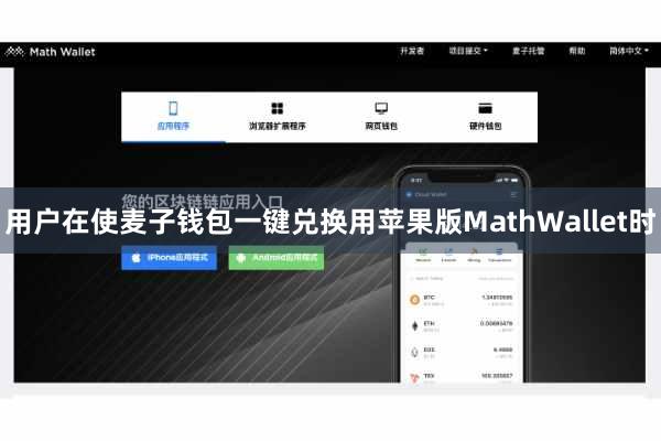用户在使麦子钱包一键兑换用苹果版MathWallet时