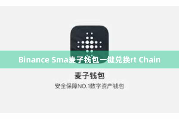 Binance Sma麦子钱包一键兑换rt Chain
