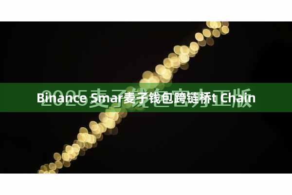 Binance Smar麦子钱包跨链桥t Chain