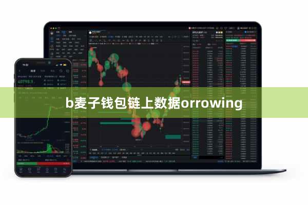 b麦子钱包链上数据orrowing
