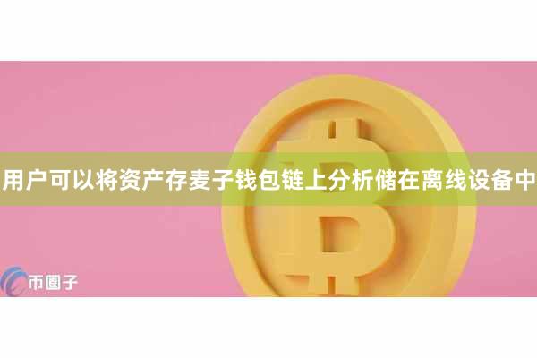 用户可以将资产存麦子钱包链上分析储在离线设备中