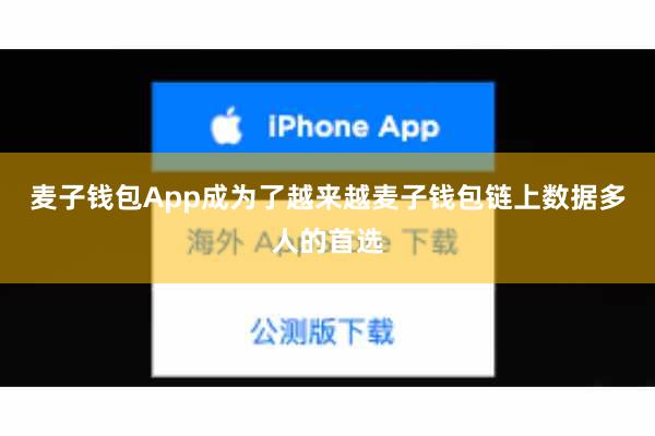 麦子钱包App成为了越来越麦子钱包链上数据多人的首选