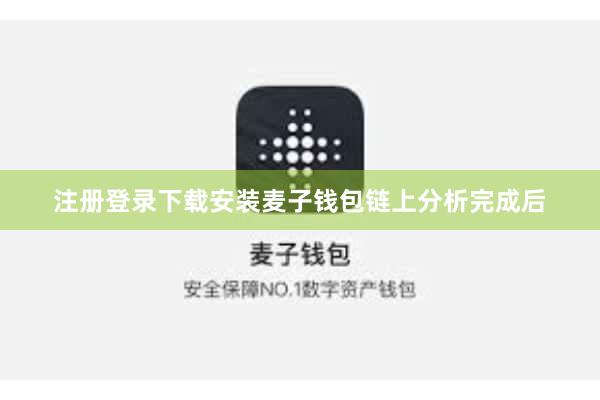 注册登录下载安装麦子钱包链上分析完成后