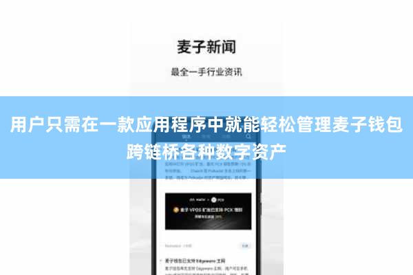 用户只需在一款应用程序中就能轻松管理麦子钱包跨链桥各种数字资产