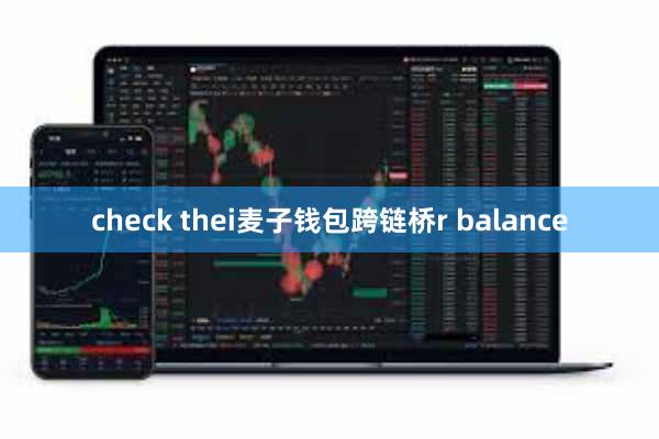check thei麦子钱包跨链桥r balance